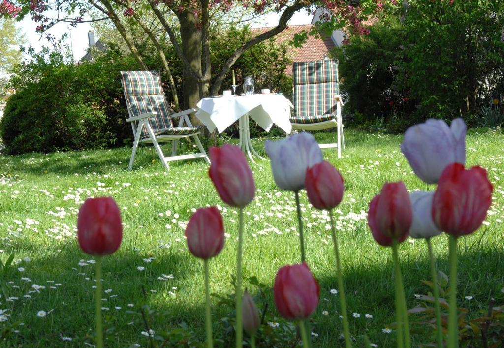 Hotel Gasthof Der Krug Stegaurach エクステリア 写真